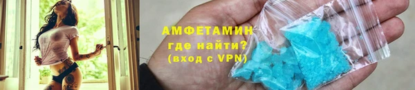 трава Белокуриха