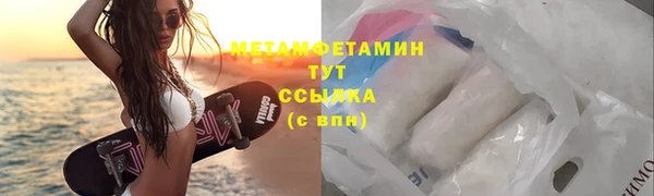 сатива Балахна