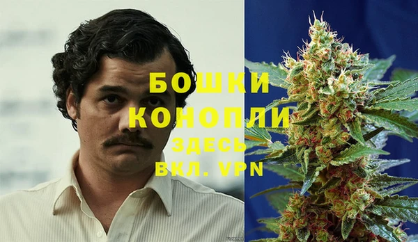 сатива Балахна