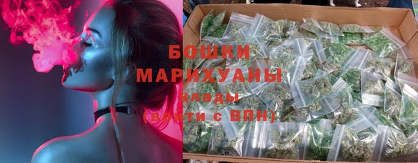 трава Белокуриха