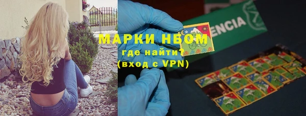 трава Белокуриха