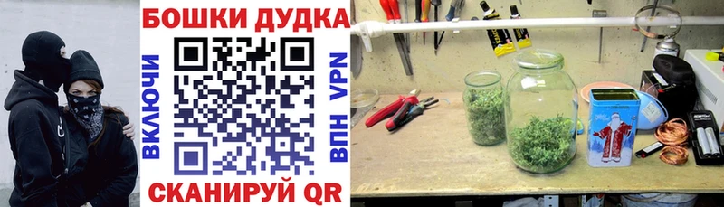 купить наркоту  Нея  Марихуана Amnesia 